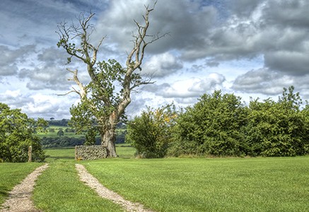 Kirkby Lonsdale Golf Club