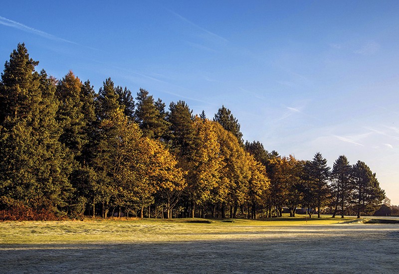 Swaffham Golf Club