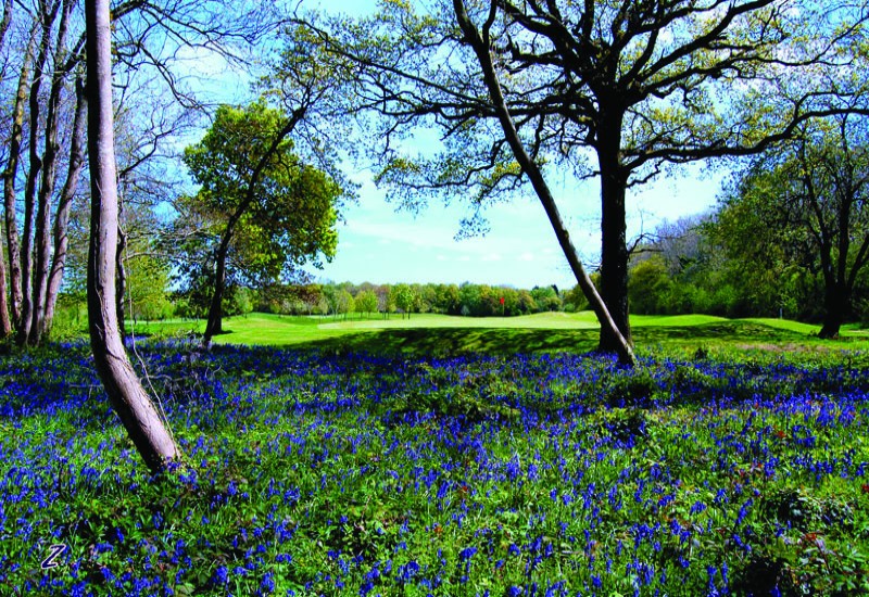 Ashley Wood Golf Club Ashley Wood Golf Club