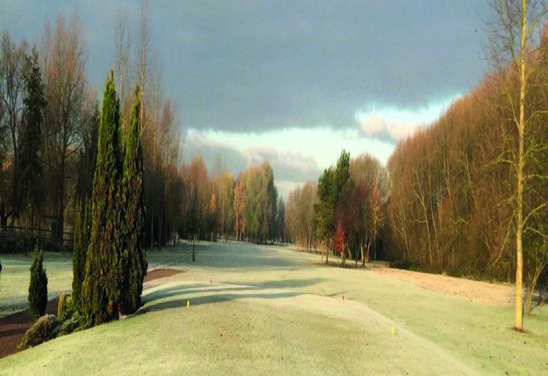 Beedles Lake Golf Club