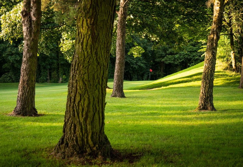 Davenport Golf Club Poynton Davenport Golf Club Poynton