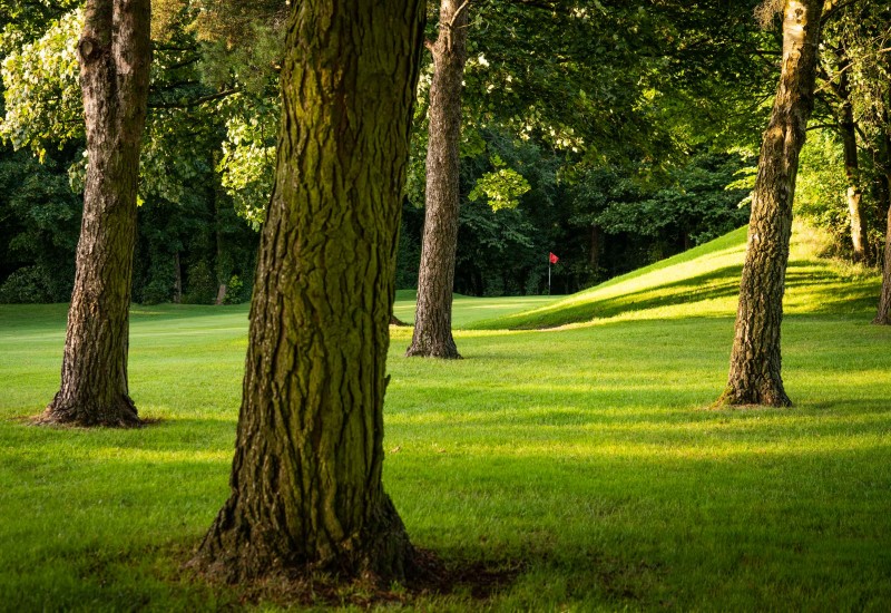 Davenport Golf Club Poynton