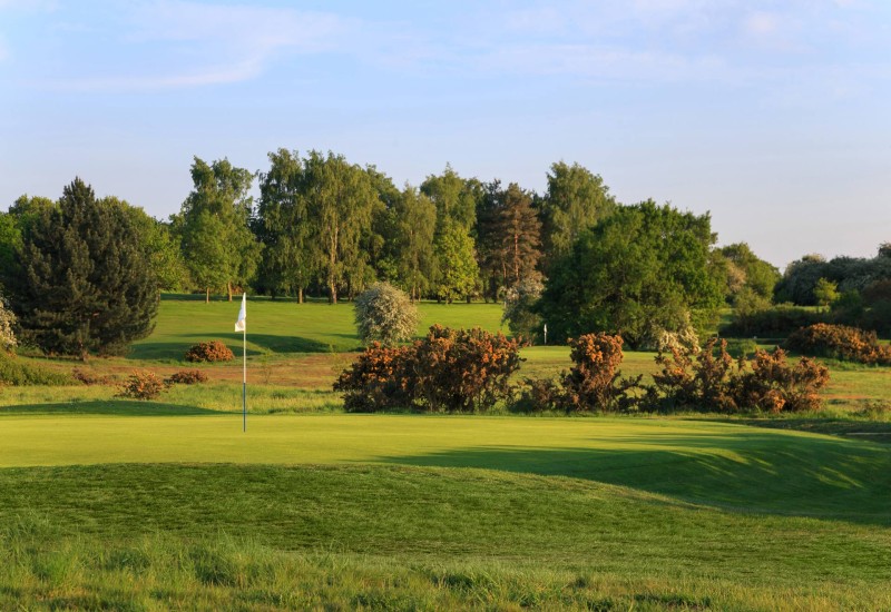 Diss Golf Club