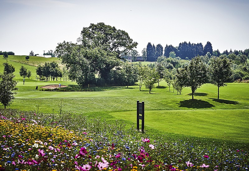 Gaudet Luce Golf Club Gaudet Luce Golf Club