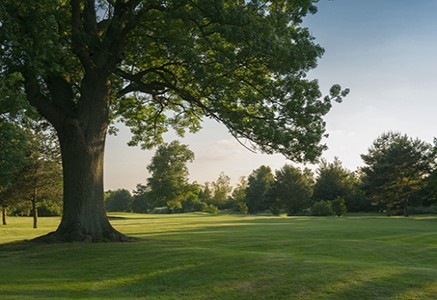 Glen Gorse Golf Club