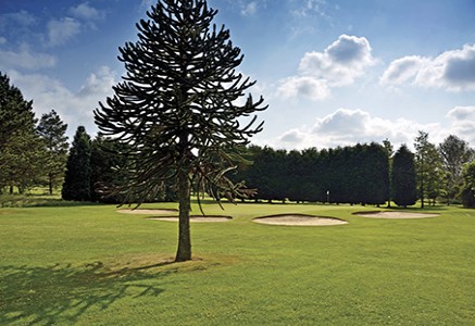 Glen Gorse Golf Club Glen Gorse Golf Club