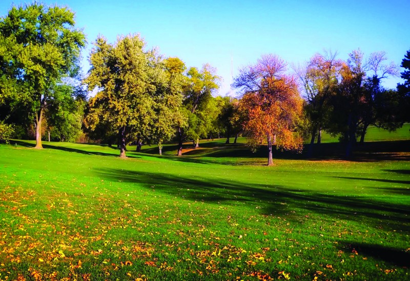 High Elms Golf Club