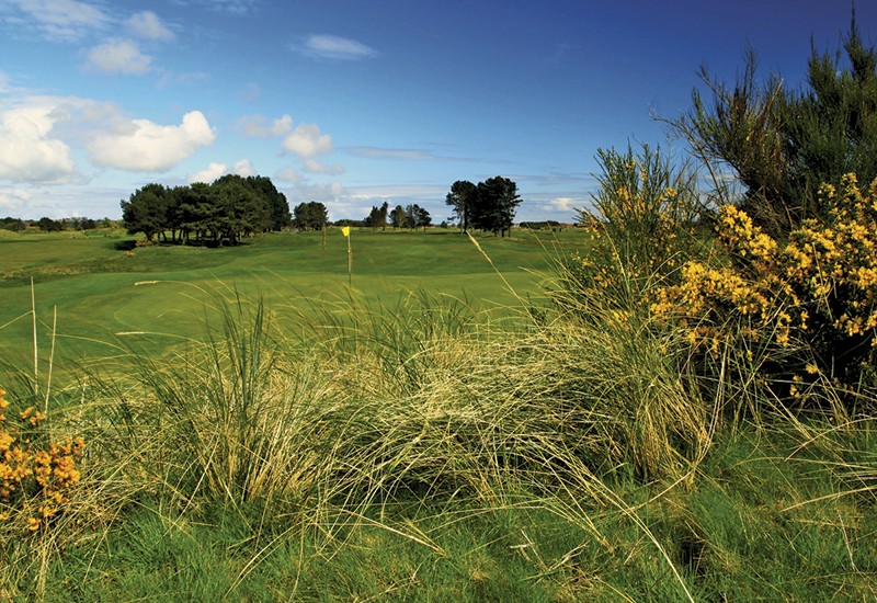 Monifieth Golf Links