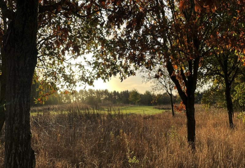 Perton Park Golf Club Perton Park Golf Club