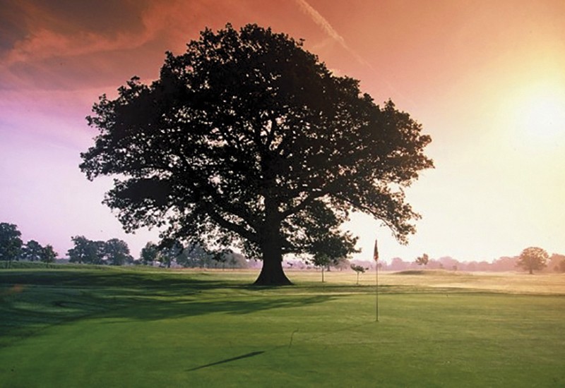Sandford Springs Golf Club Sandford Springs Golf Club