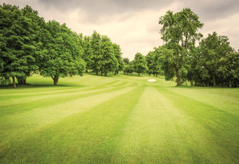 Shendish Manor Hotel & Golf Club Shendish Manor Hotel & Golf Club