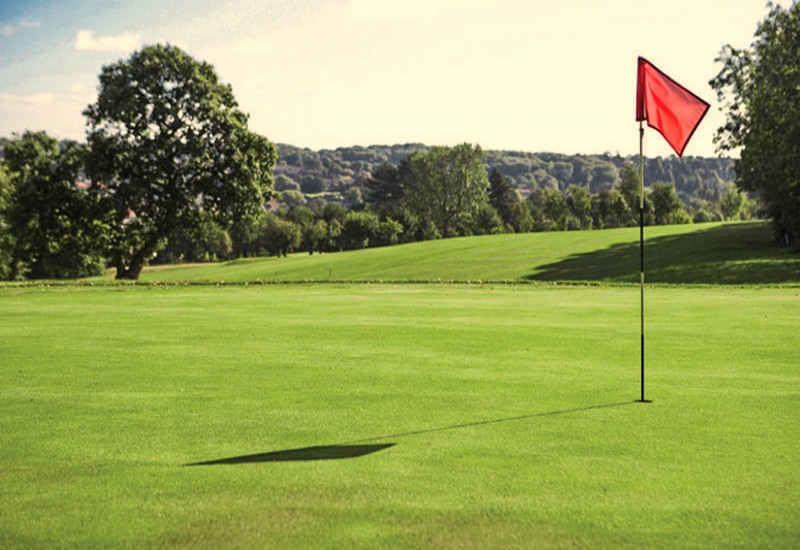 Shendish Manor Hotel & Golf Club Shendish Manor Hotel & Golf Club