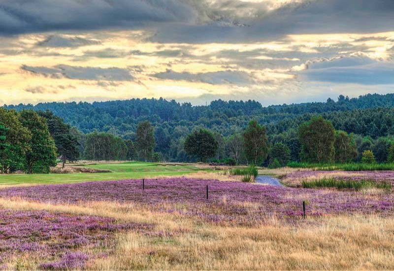 Sherwood Forest Golf Club Sherwood Forest Golf Club