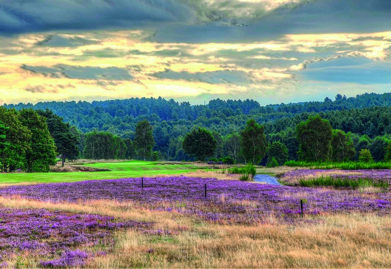 Sherwood Forest Golf Club