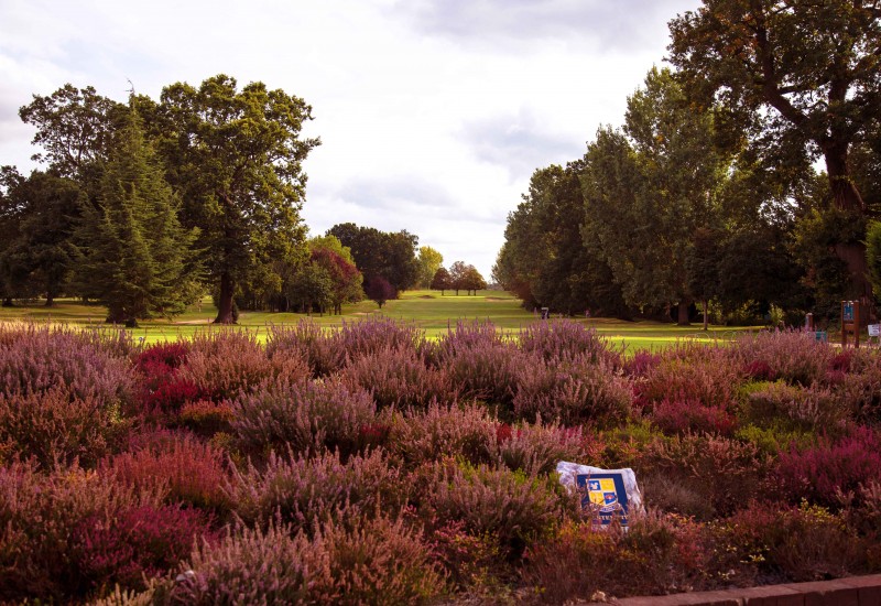 Shirley Park Golf Club