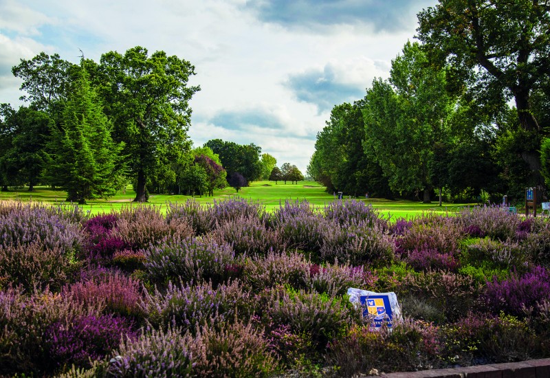 Shirley Park Golf Club Shirley Park Golf Club