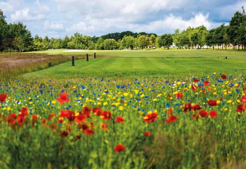 Skylark Golf & Country Club Skylark Golf & Country Club
