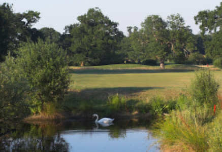 De Vere Wokefield Estate